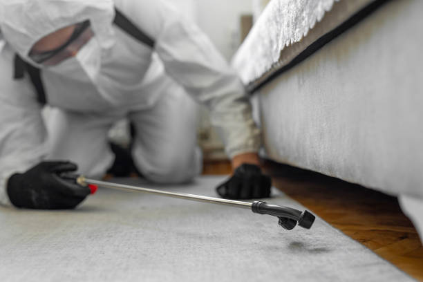 Professional Bed Bug Control technician working in Jackson County County, SD